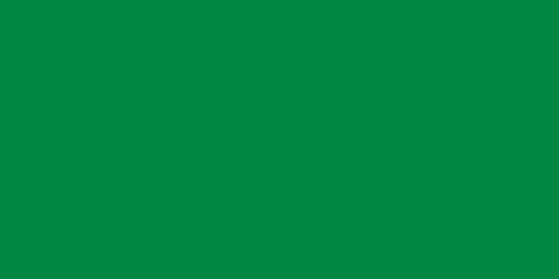 リビア国旗（1977年から2011年まで）