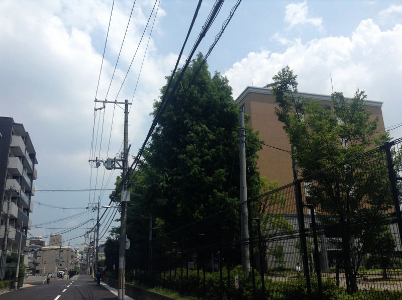 放送大学大阪学習センターがある大阪教育大学天王寺キャンパス
