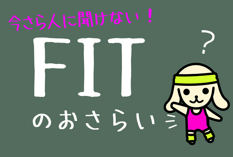 FITの解説